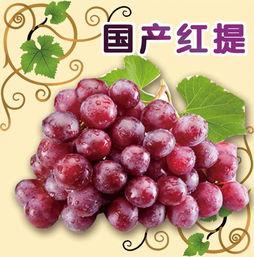 娱乐吃瓜酱葡萄娱乐,揭秘娱乐圈幕后故事与趣味瞬间