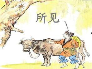 袁枚资料,清代文学巨匠与生活哲学的探索者